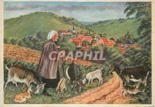 Cartes postales moderne Chavignol Pres Sancerre Renomme pour ses Vins et Fromages de Chevre en parcourant le Berry Chevr