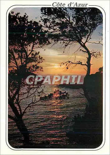 Cartes postales moderne Coucher de soleil sur la Mediterranee