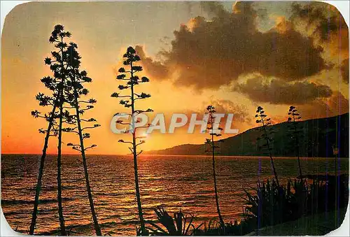 Cartes postales moderne Soleil couchant sur la Mediterranee
