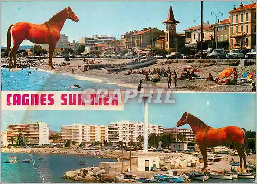 Cartes postales moderne Au soleil de la cote d'Azur Cagnes Reflets de Cagnes Chevaux