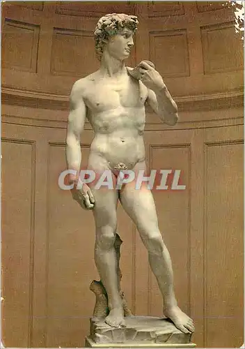 Cartes postales moderne Firenze Gallerie Accademia Le David de Michelangelo