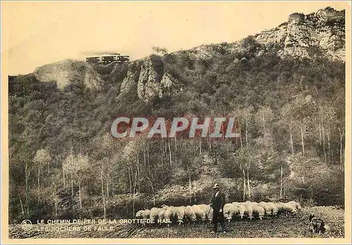 Cartes postales Le Chemin de Fer de la Grotte de Han Les Rochers de Faule Berger Moutons Train