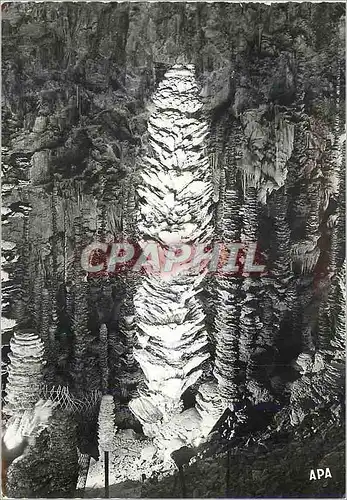 Cartes postales L'Aven Armand Le Palmier