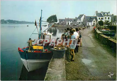 Moderne Karte Belz Le Village de Saint Cado sur la riviere d'Etel retour de peche La bretagne en couleurs Bate