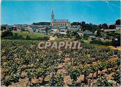 Cartes postales moderne St Lambert du Lattay (M et L) vue generale