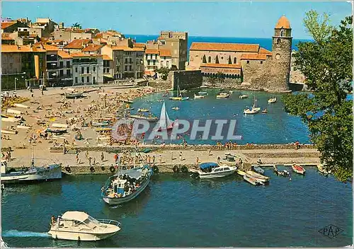 Moderne Karte Collioure du chateau des templiers vue sur le port la plage et l'eglise