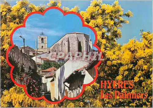Cartes postales moderne Hyeres Les Palmiers souvenir de la Cote d'Azur