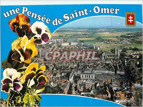 Cartes postales moderne Saint Omer (Pas de Calais) Vue generale