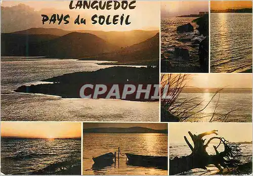 Cartes postales moderne En Languedo Au Pays du Soleil