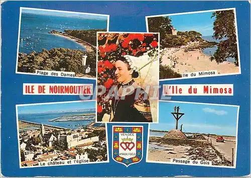 Cartes postales moderne Ile de Noirmoutier (Vendee) Plage des dames Ile du Mimosa Le ch�teau et l'eglise Passage de Gois