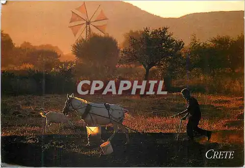 Cartes postales moderne Crete Grece
