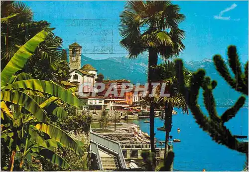Cartes postales moderne Brissago Lago Maggiore