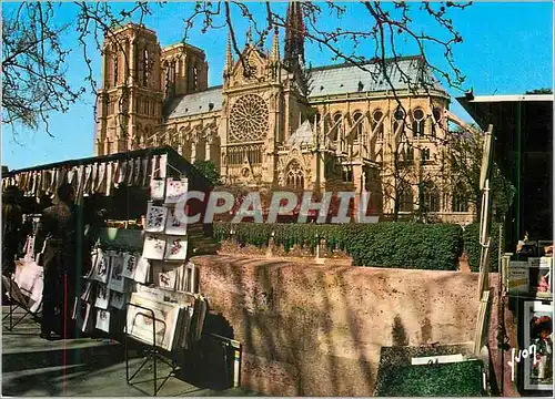 Cartes postales moderne Paris Notre Dame et les Bouquinistes des quais Couleurs et Lumiere de France