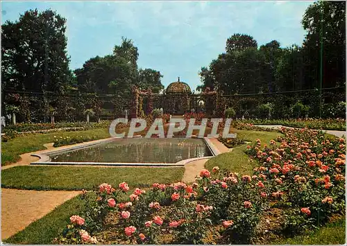 Cartes postales moderne L'Hay les Roses La Roseraie Images de France