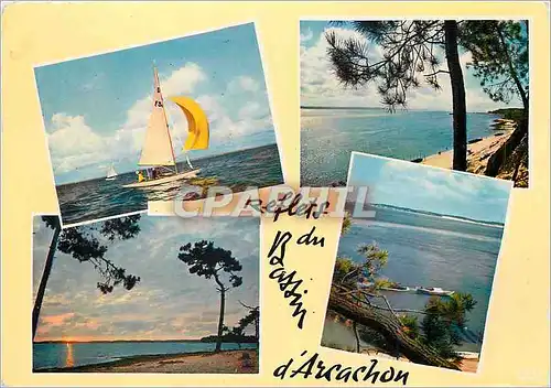 Cartes postales moderne Bassin D'Arcachon