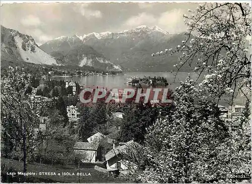 Cartes postales moderne Lago Maggiore Stresa Isola Bella