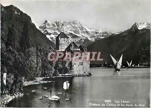 Moderne Karte Lac Leman Chateau de Chillon et les Dents du Midi