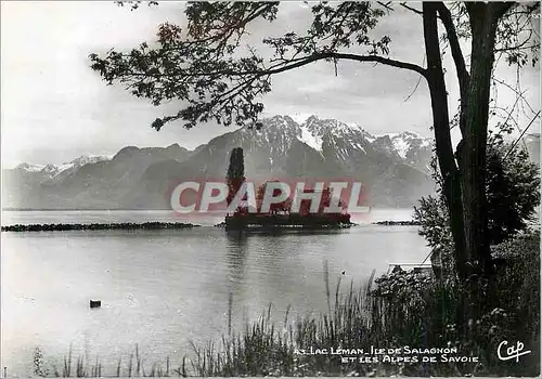Cartes postales moderne Lac Leman Ile de Salagnon et les Alpes de Savoie