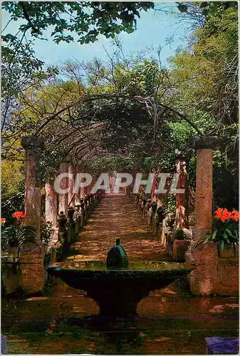 Cartes postales moderne Alfabia Mallorca Bain du Sultan