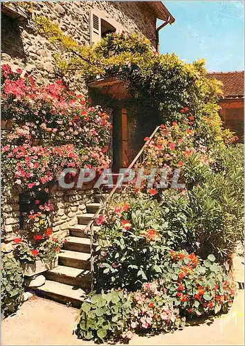 Cartes postales moderne Yvoire (Haute Savoie) Maison fleurie Couleurs et Lumiere de France