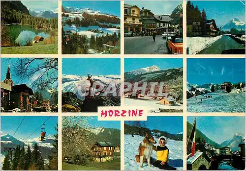 Cartes postales moderne Morzine (Haute Savoie) Chien Ski