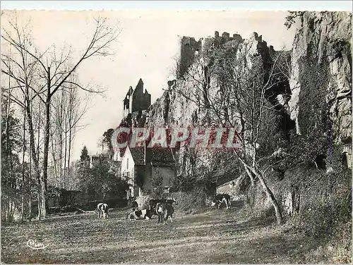 Cartes postales Angles s l'Anglin (Vienne) Ruines du Chateau feodal du XIIe s vues de la vallee Vaches