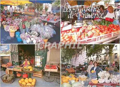 Cartes postales Lumiere et Beaute de la Provence Les marches pittoresques de Provence