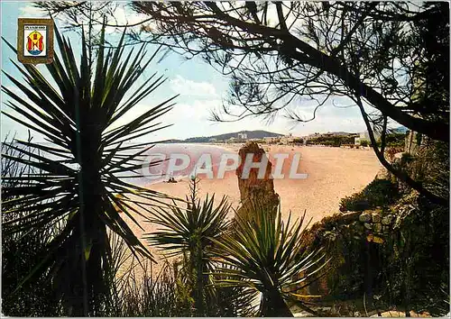 Cartes postales moderne Playa de Aro (Costa Brava) vue partielle de la plage