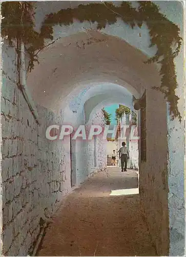 Cartes postales moderne Safad