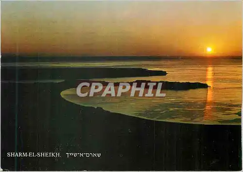Cartes postales moderne Sharm el Sheikh