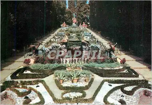 Cartes postales moderne Collodi Storico Giardino Garzoni sec XVII