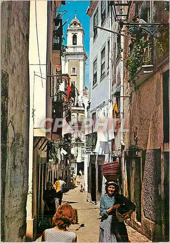 Cartes postales moderne Lisboa (Portugal) Alfama Barrio de Alfama