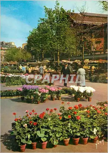 Cartes postales moderne Couleurs et lumiere de france 75 paris les halles de baltard le marche aux fleurs