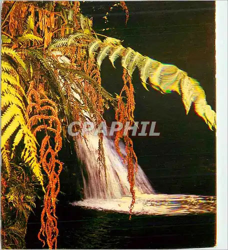 Moderne Karte Guadeloupe cascade aux ecrevisses parc naturel de la guadeloupe