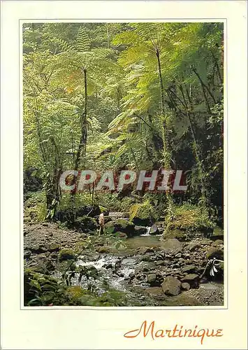 Moderne Karte La martinique ajoupa bouillon les gorges de la falaise