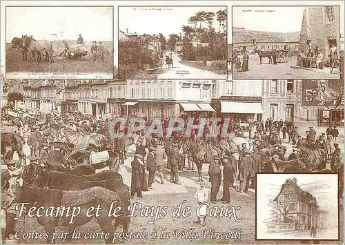 Cartes postales moderne Fecamp et le pays des caux Chevaux