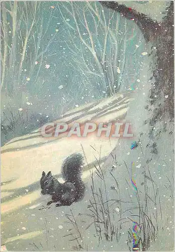Cartes postales moderne Ecureuil