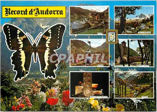 Cartes postales moderne Valls d andorra divers aspects Papillon