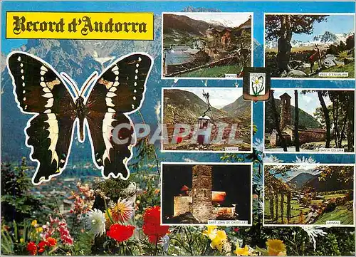 Cartes postales moderne Valls d andorra divers aspects Papillon