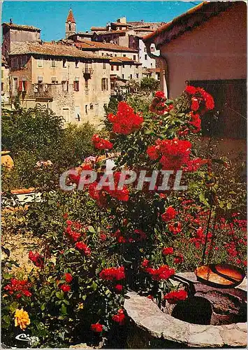 Cartes postales moderne Gorbio (alpes mar) vue sur gorbio et son clocher