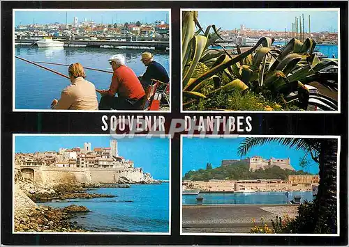 Cartes postales moderne Souvenir d antibes (06)