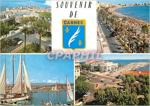 Cartes postales moderne Cannes souvenir de cannes