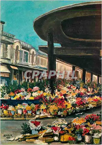 Cartes postales moderne la cote d azur marche aux fleurs