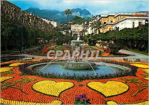 Cartes postales moderne Menton les sites merveilleux de la cote d azur les jardins bioves pendant les fetes du citron