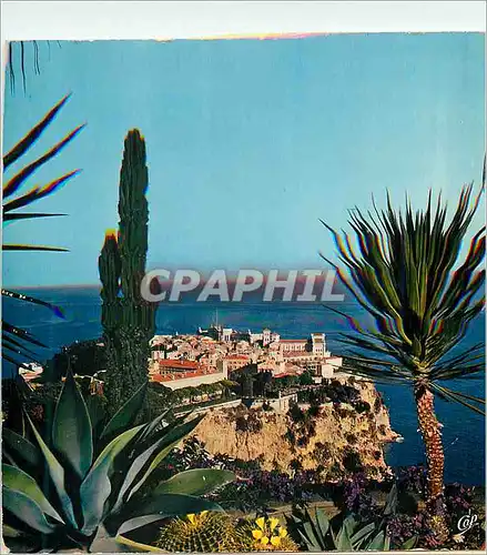 Cartes postales moderne Monaco