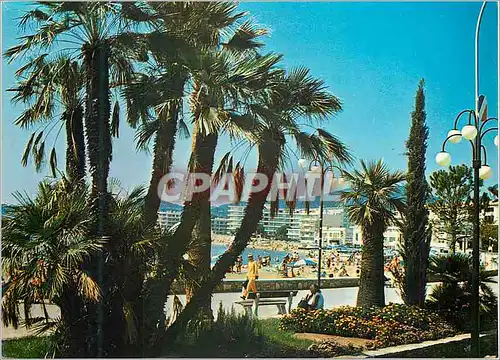 Cartes postales moderne Sainte maxime la promenade lumiere et beaute de la cote d azur