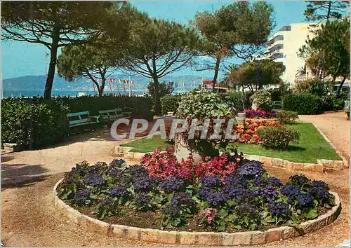 Moderne Karte Juan les pins et ses jardins fleuris cote d azur