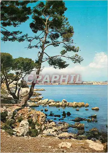 Cartes postales moderne Cap d antibes panorama sur antibes