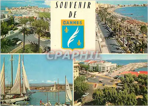 Moderne Karte Cannes souvenir de cannes