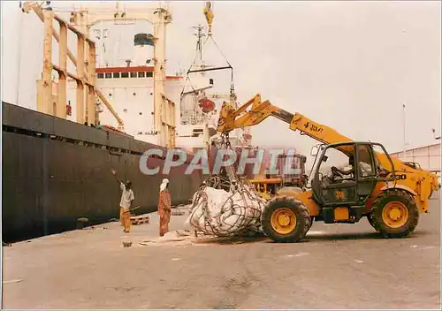 Photo Afrique Bateau Sun Maria Ocean Ace Panama